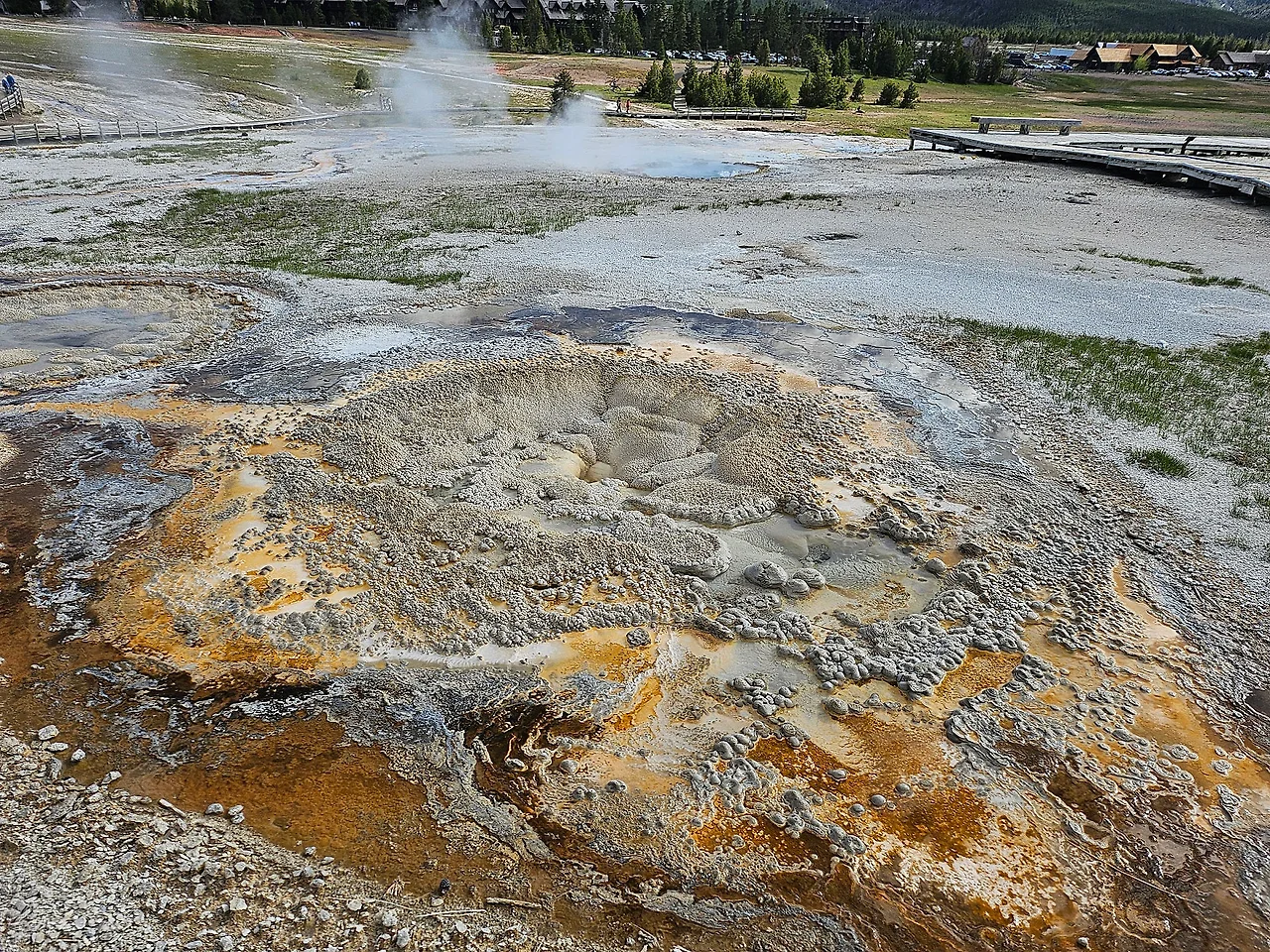 20240605_174338.jpg?type=w1600