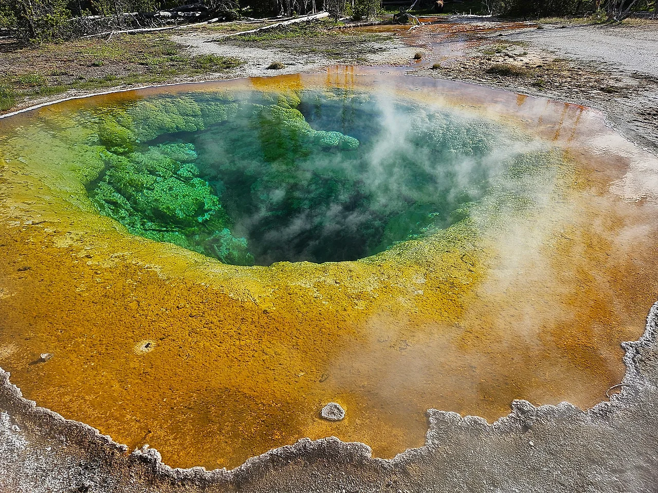 KakaoTalk_20240609_145950287.jpg?type=w1600