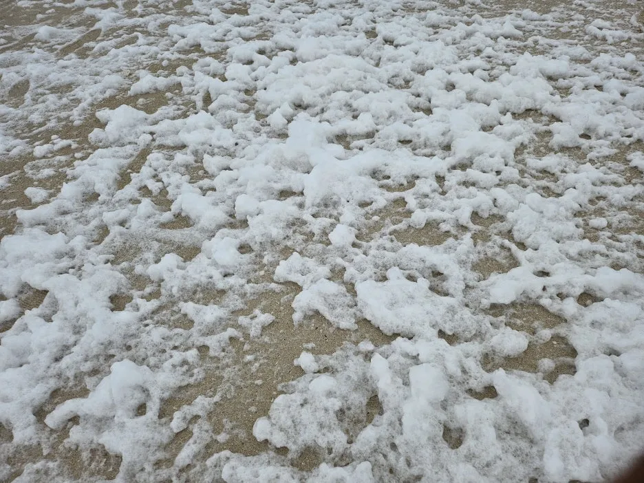 KakaoTalk_20240704_123901126.jpg?type=w1