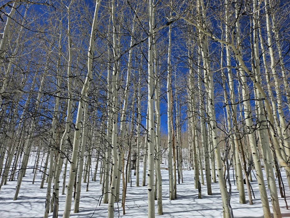 20240402_152048.jpg?type=w1