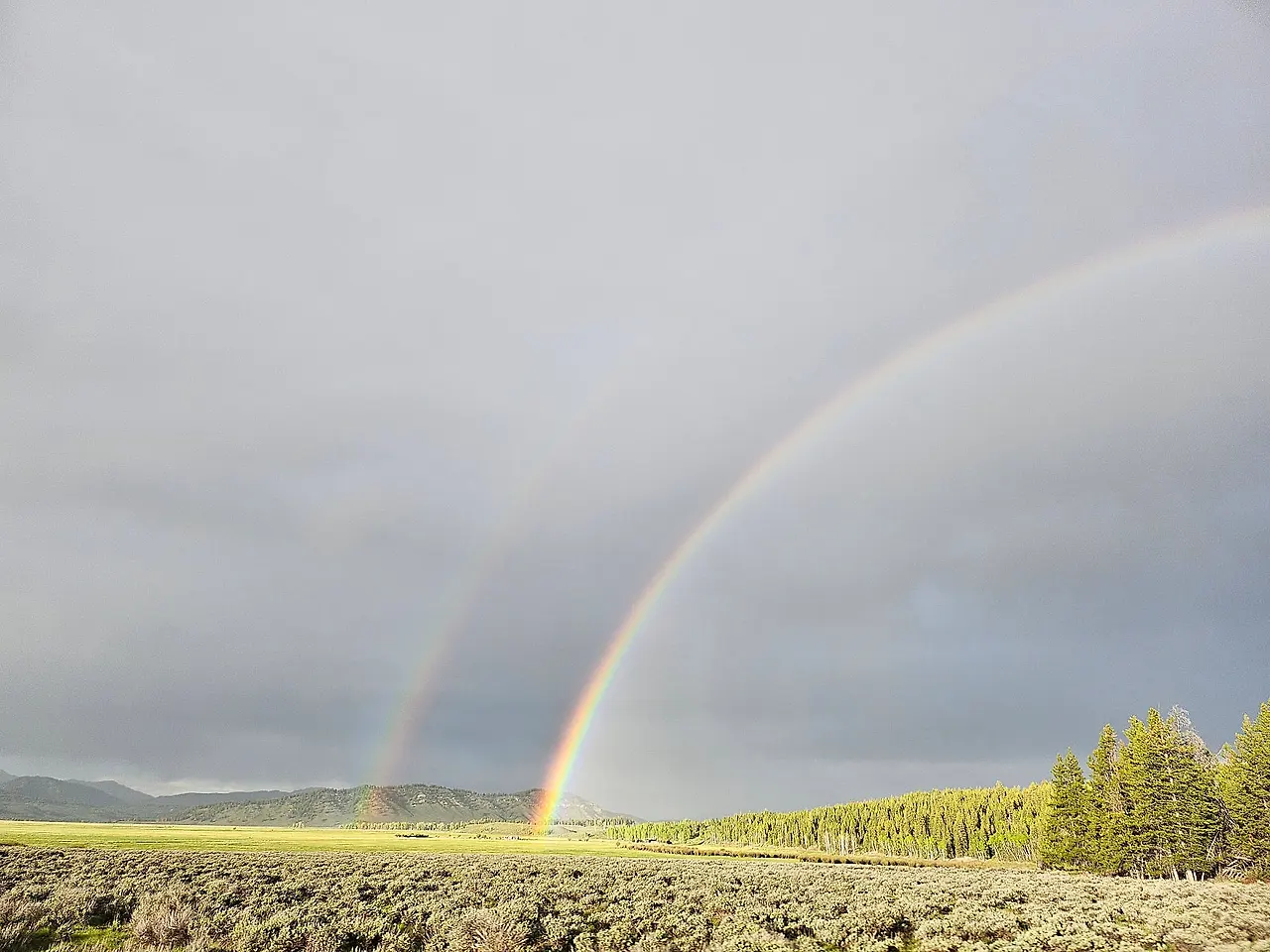 KakaoTalk_20240610_190257717.jpg?type=w1600