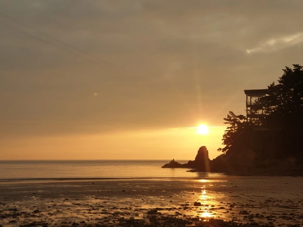 SE-5e447388-27a5-4100-a2a1-b2b80a28bed1.jpg?type=w1