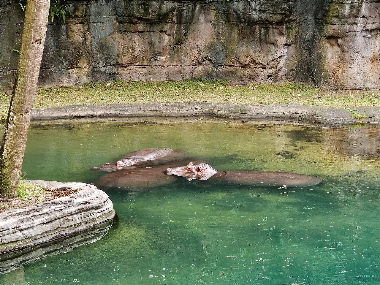 20241129_123754.jpg?type=w1600