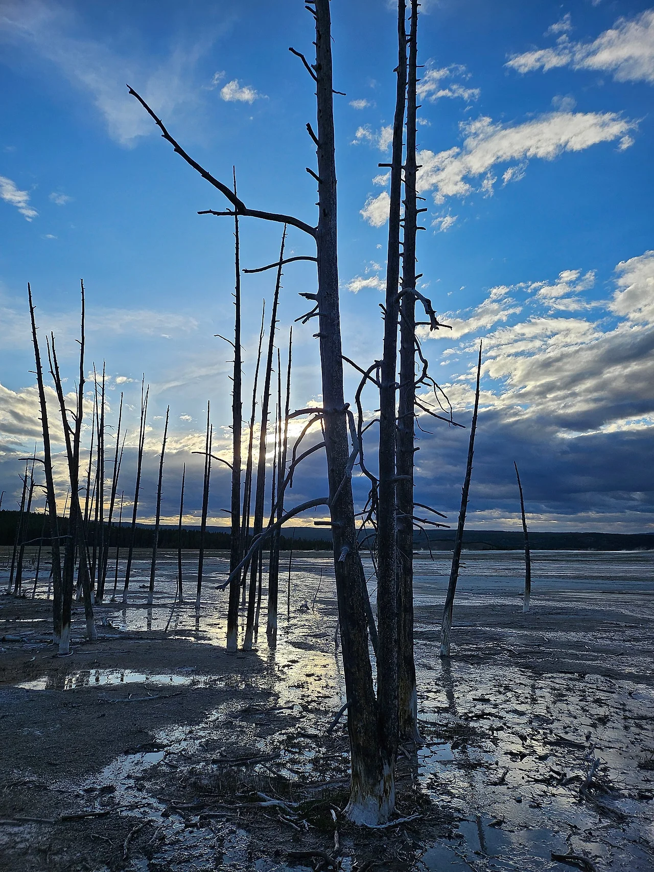 KakaoTalk_20240611_090308290.jpg?type=w1600