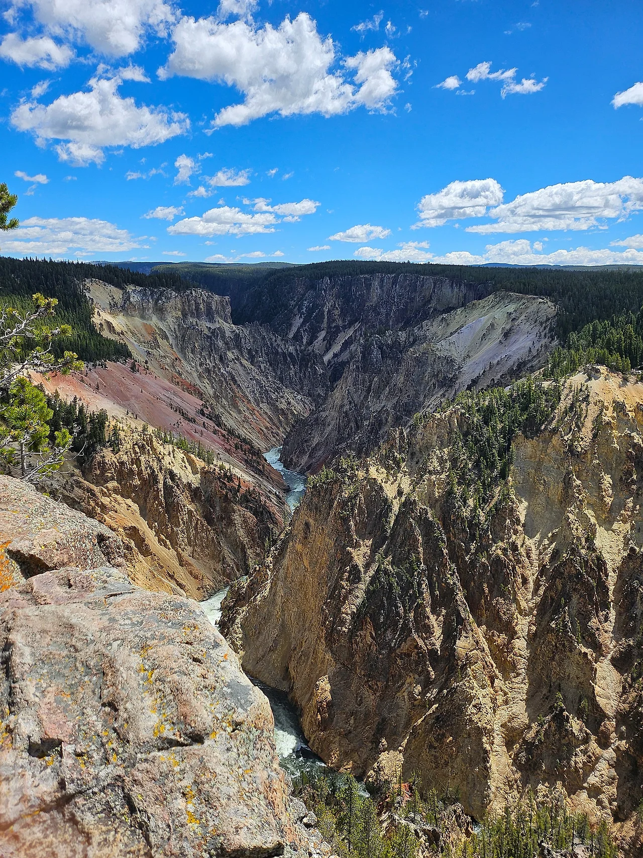 20240605_115619.jpg?type=w1600