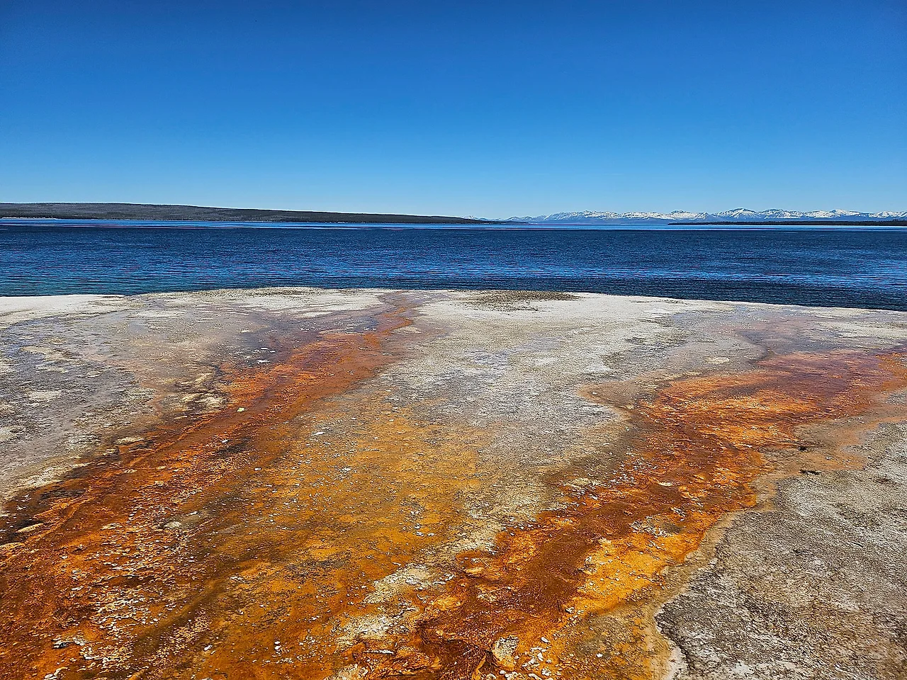 20240606_114223.jpg?type=w1600