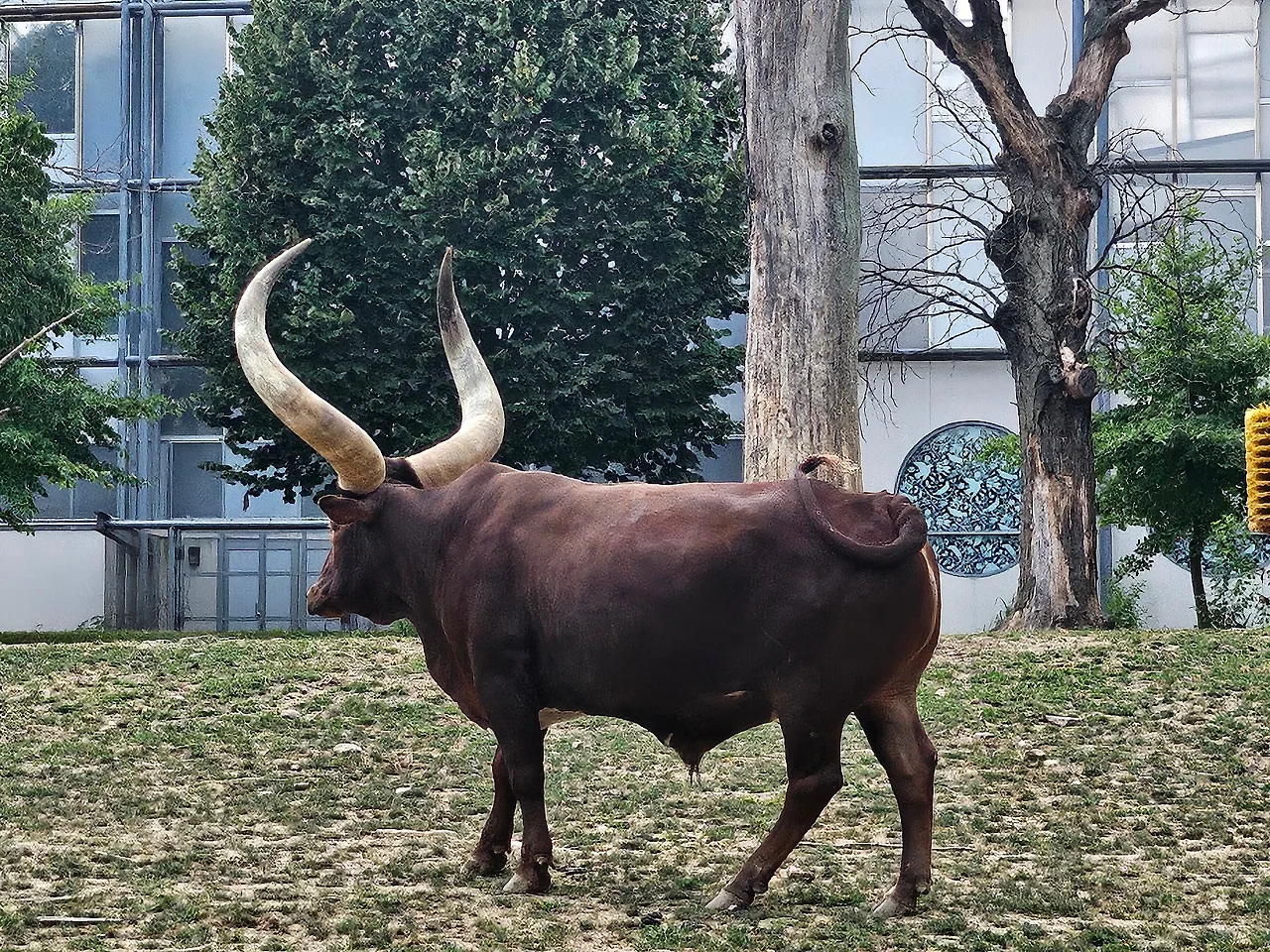 20240901_153731.jpg?type=w1600