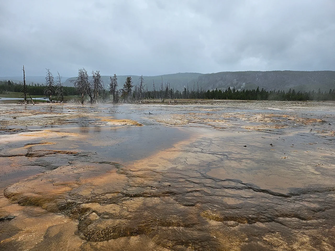 20240603_121758.jpg?type=w1600