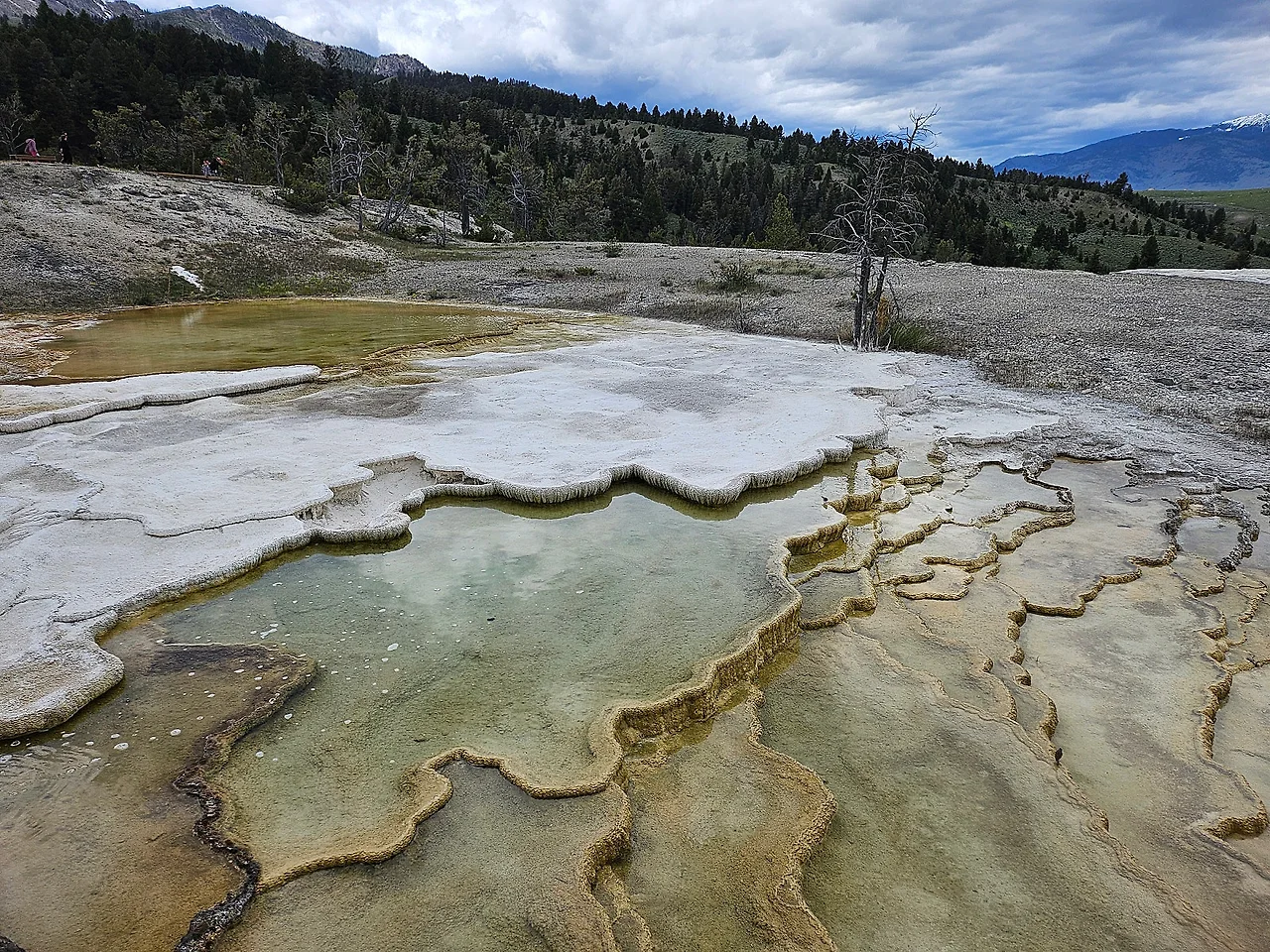 KakaoTalk_20240611_085918435.jpg?type=w1600