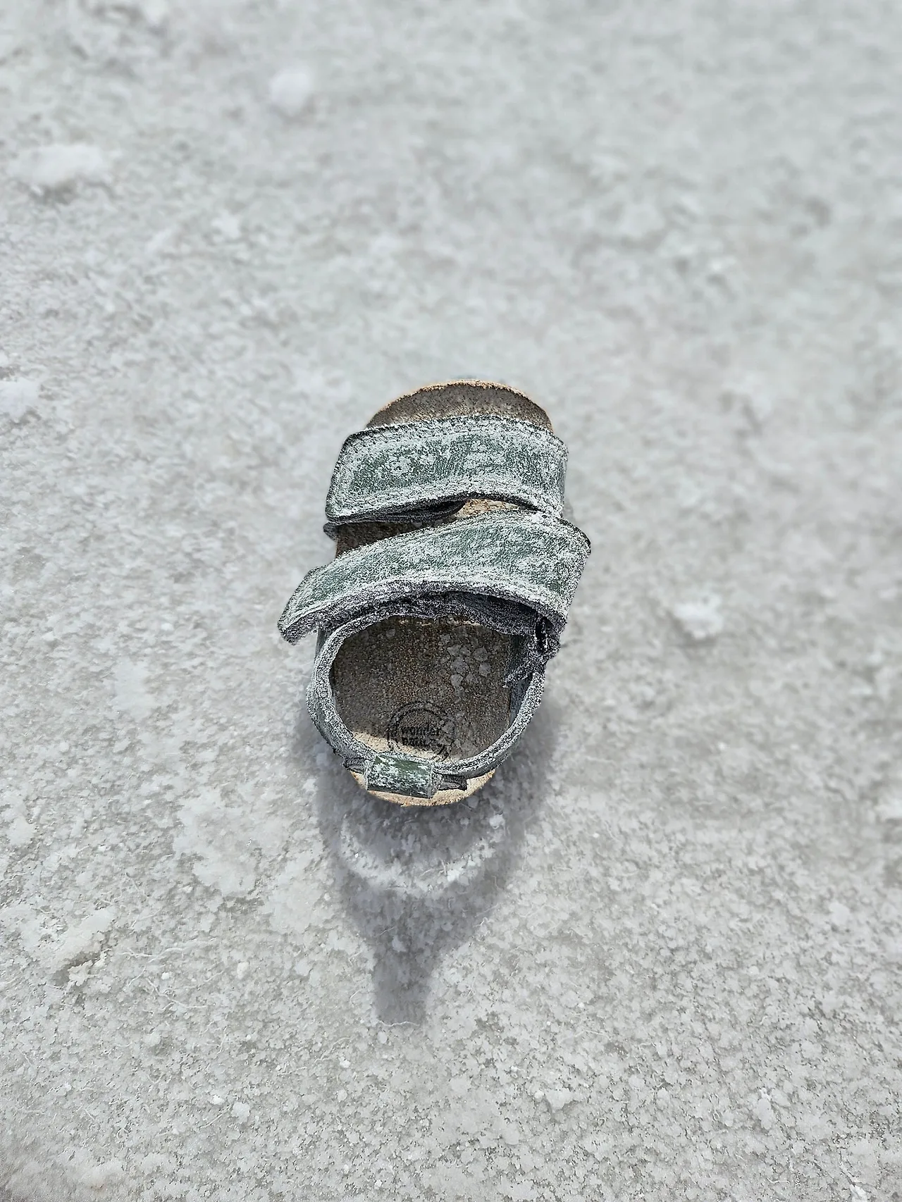 SE-cc4db12f-bf36-433a-b194-e689fd49e0ac.jpg?type=w1600