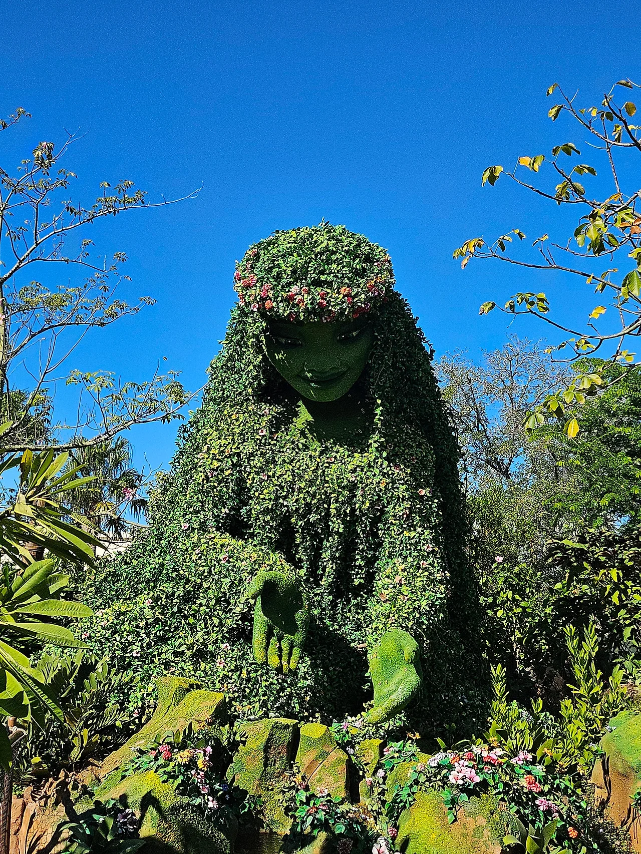 20241127_131429.jpg?type=w1600