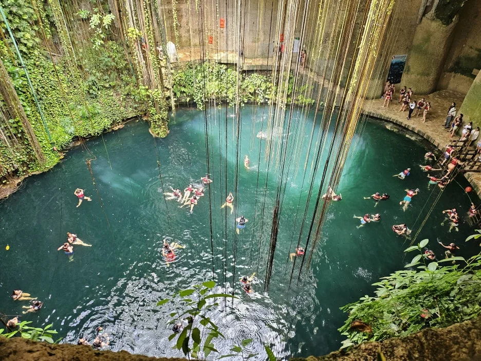 KakaoTalk_20240704_123921158.jpg?type=w1