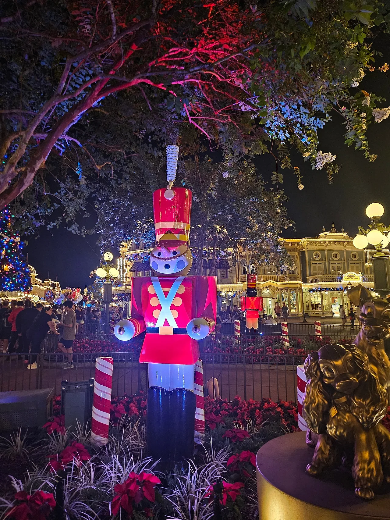 20241128_210932.jpg?type=w1600