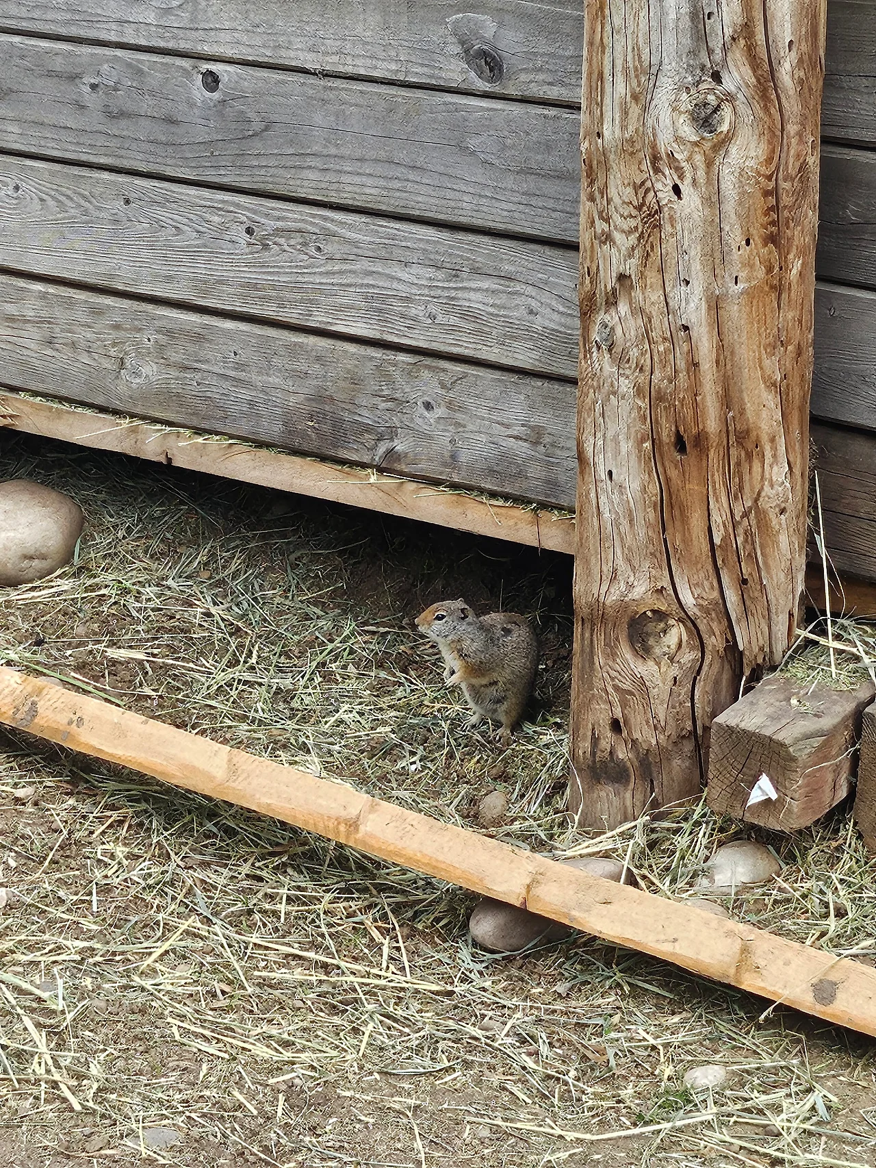 20240607_180444.jpg?type=w1600