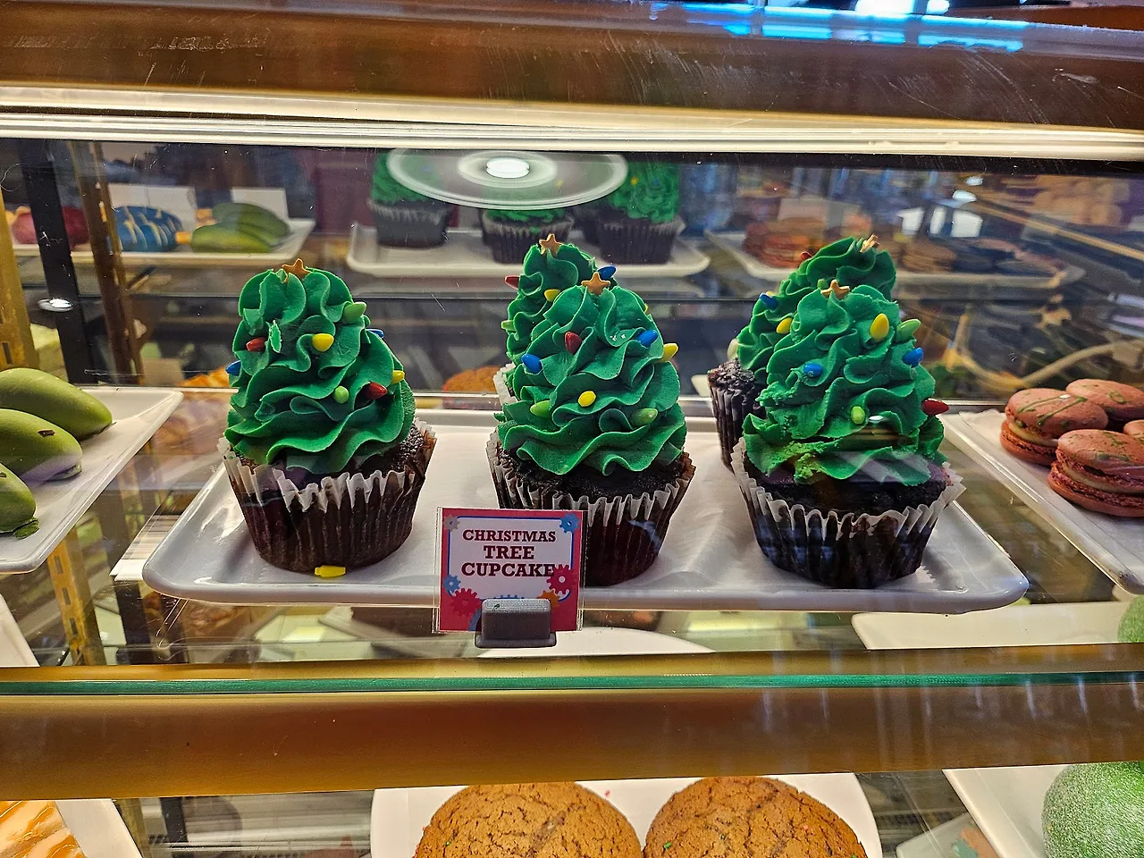 20241130_112843.jpg?type=w1600