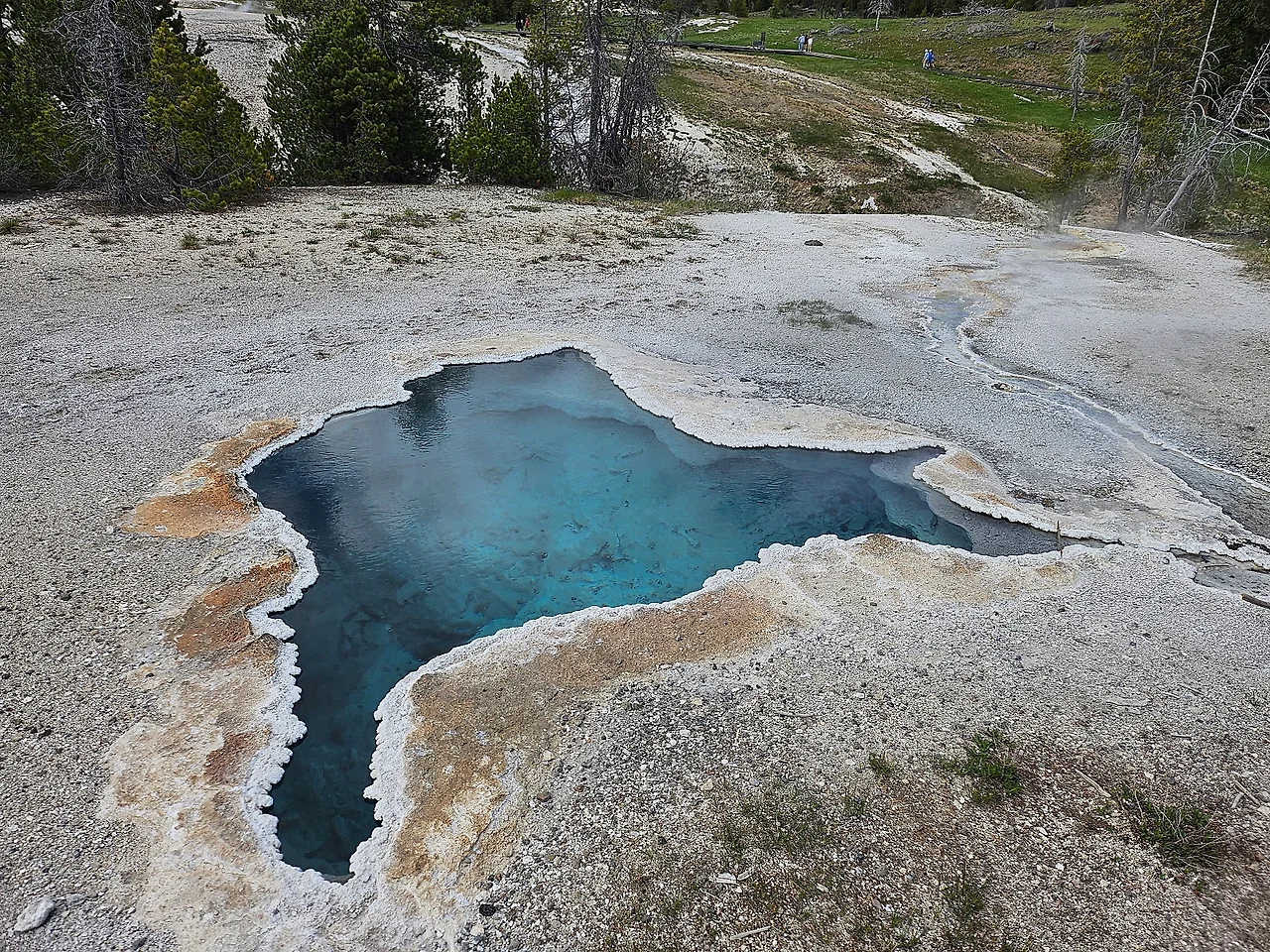 KakaoTalk_20240609_150015641.jpg?type=w1600