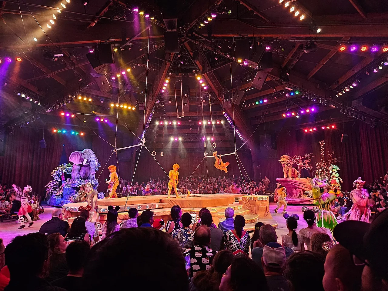 20241129_141020.jpg?type=w1600