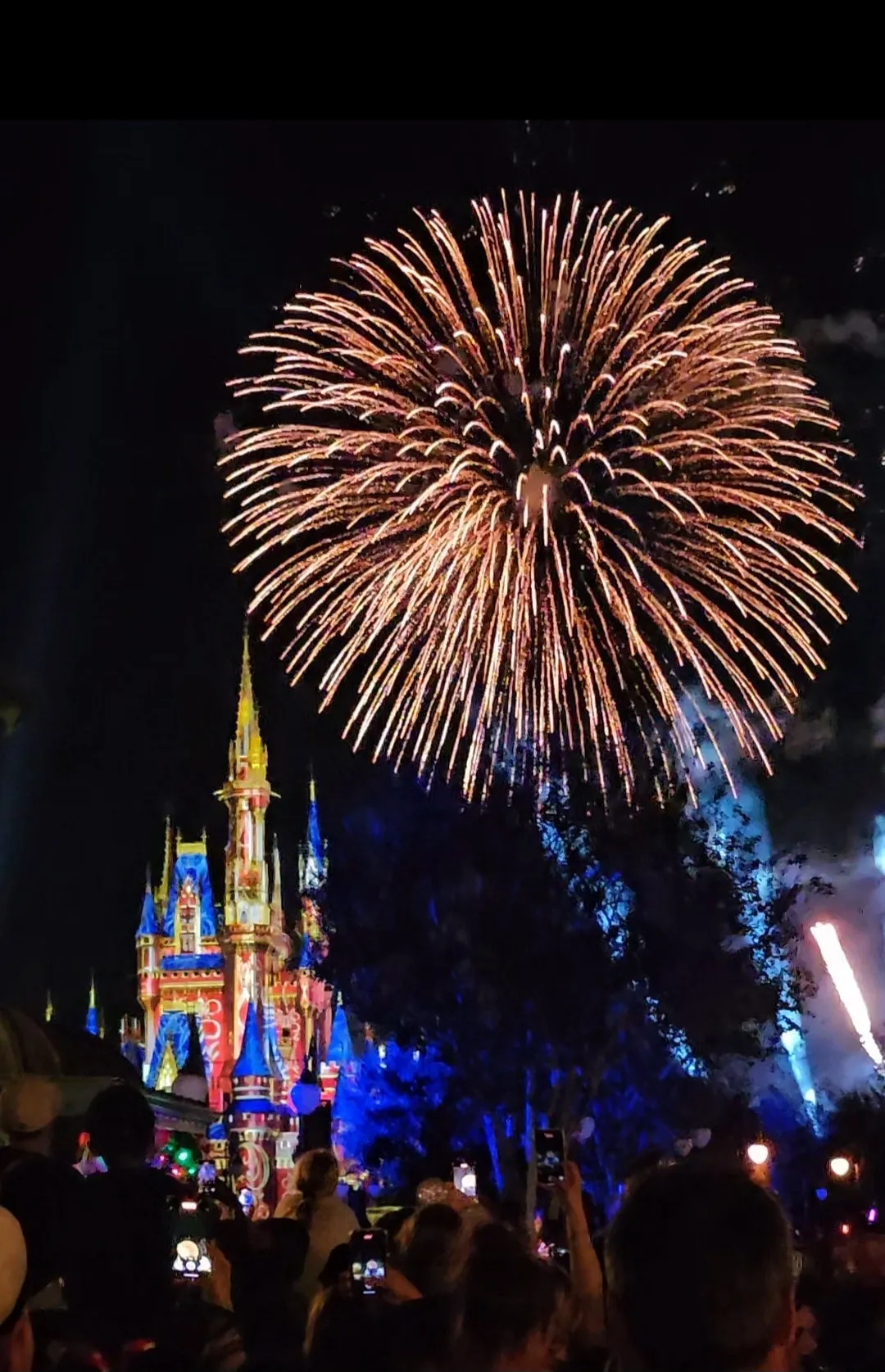 KakaoTalk_20241205_054320217.jpg?type=w1600