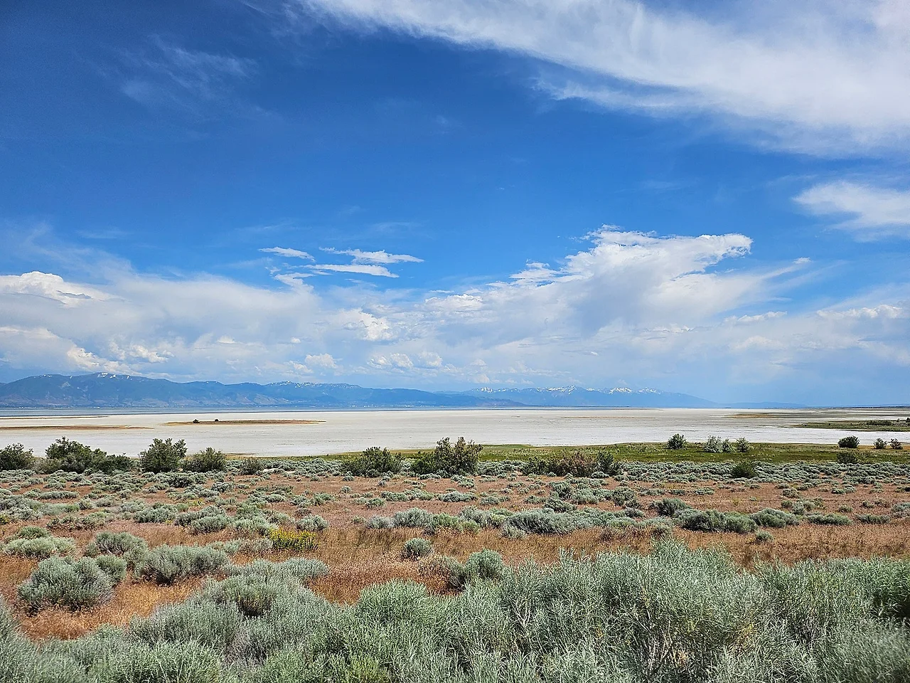 20240609_161123.jpg?type=w1600