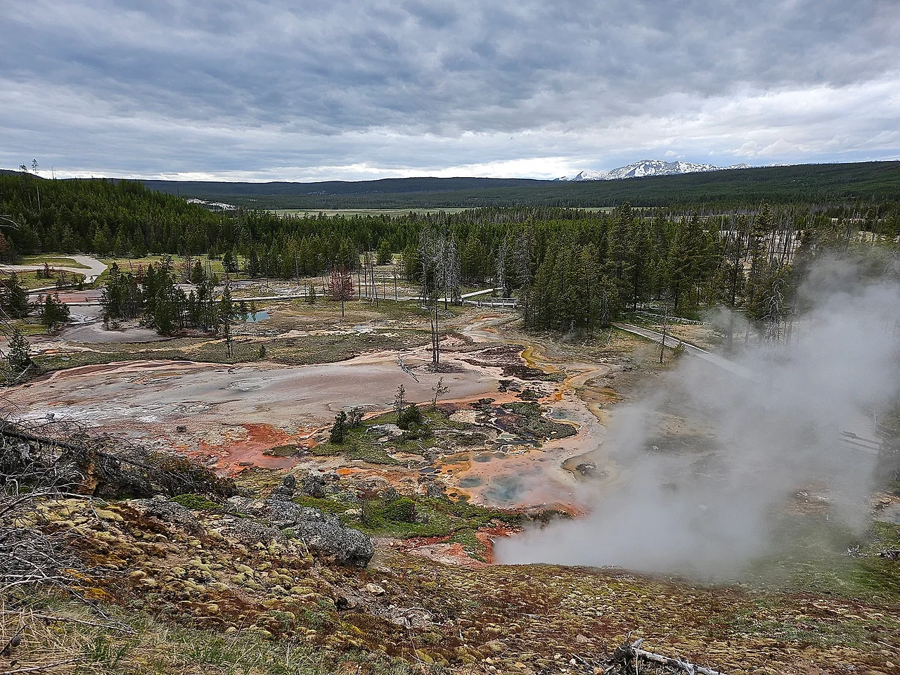 20240604_172645.jpg?type=w1600