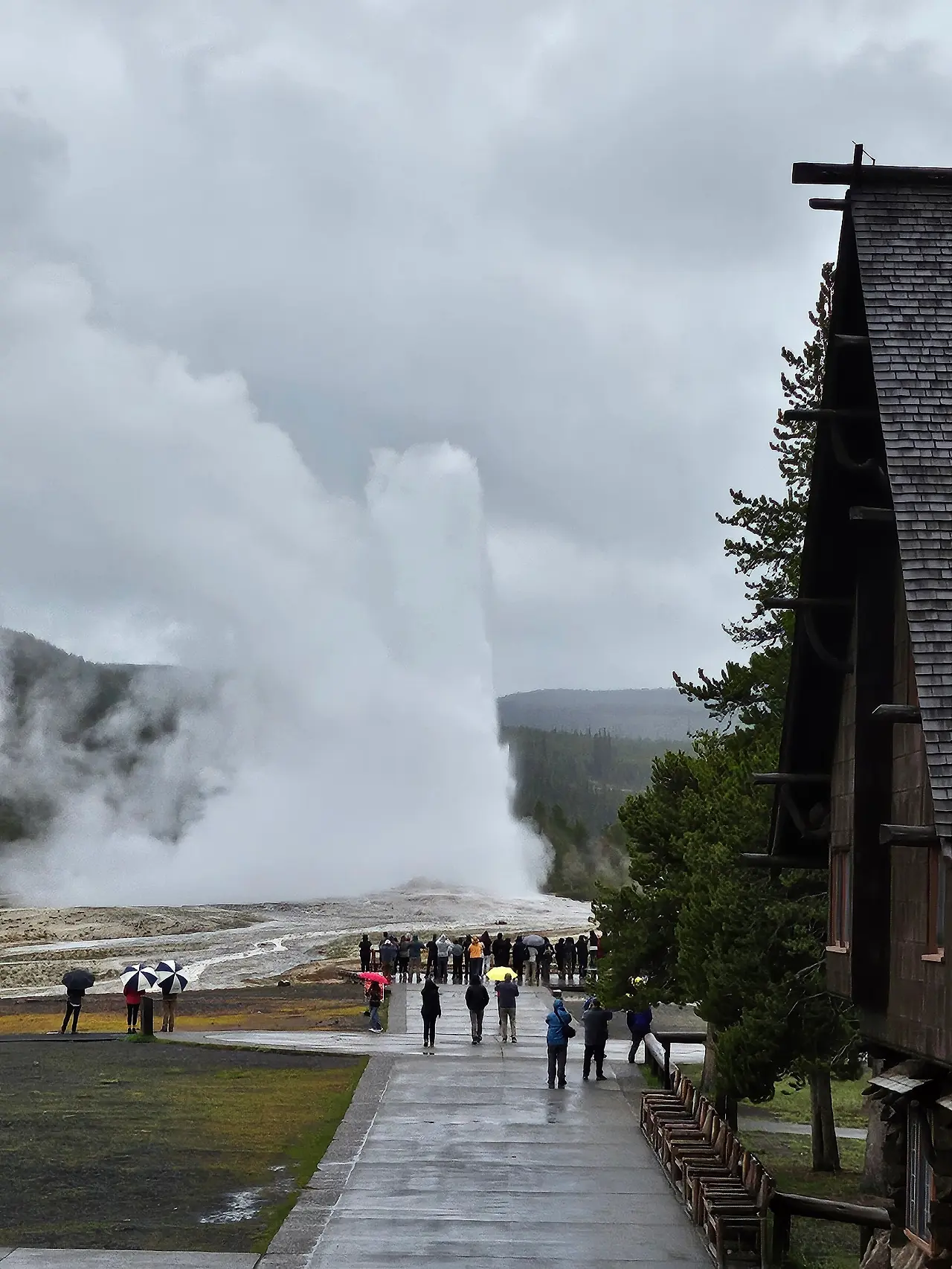 KakaoTalk_20240609_150259877_01.jpg?type=w1600