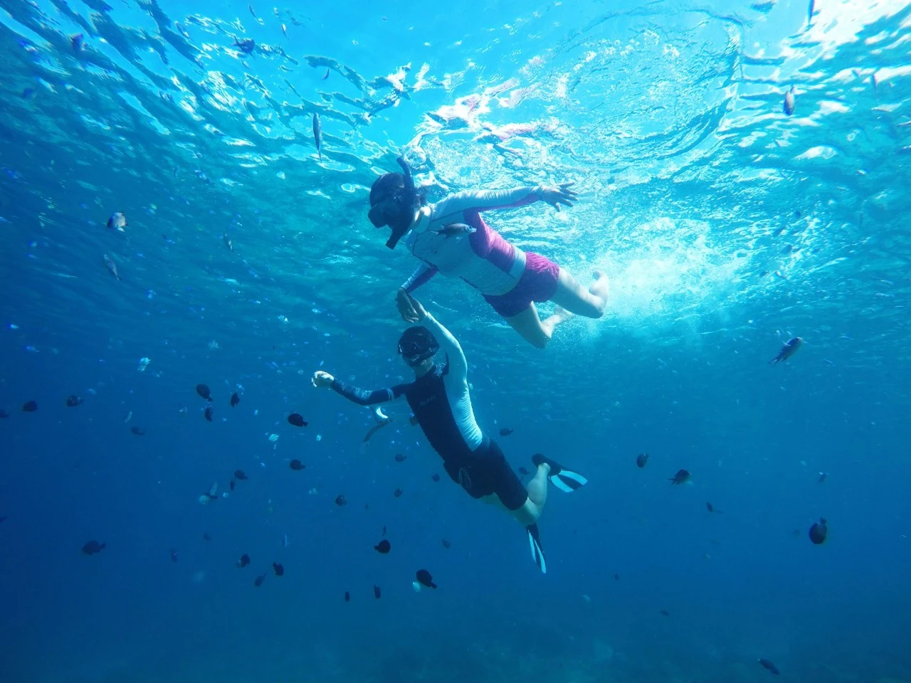 4_1d1Ud018svc3tkjgexpnvgr_k1ocwu.jpg?type=e1920_std