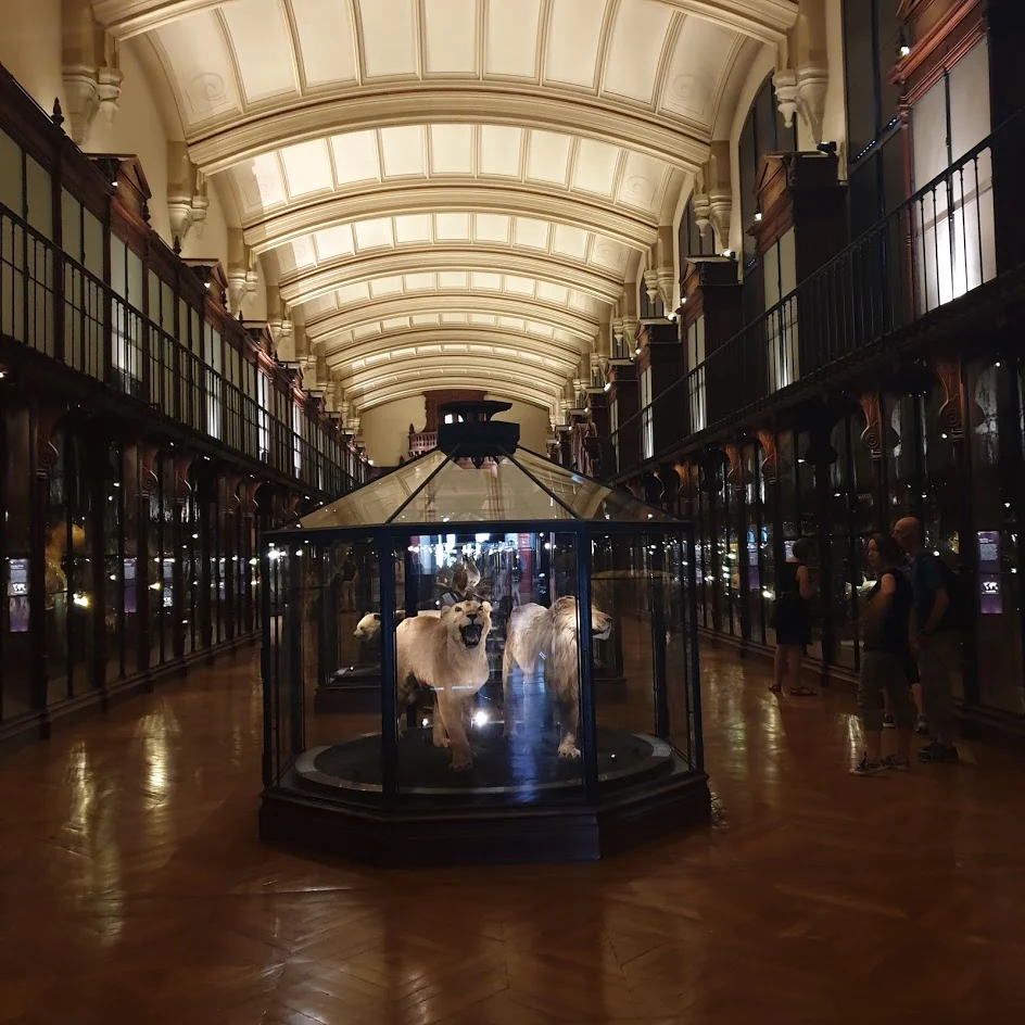 mHjUiQdPffJSKyk7HDOYCG19DMUi0q9-De7sIgqzE6tmEFKSlLFQvrAUsMZeroPlXyc7VxQpP_i8LB3_B9_euo7_xMgp71hY6JDtvkljK06QBAR0ZsgCPexiGSjubKllhQUScdALt5lkO6HVqir3NG5p1TLIz-hwl8BSP9zUcGF7Hy8zNZQVXk5tls1oyWWvgou0j9scc5xmkwm1xwWAcd5pK9J6UhntpLSF2RDdRQp1NUX9Pww0aLKT3_hTmWWskpENG9Bx8nczY2xm2PxAPL96xkC7o5VRaXKn5BlS05dJiXUwURpPHrGvsD_iGpXQC9lJzYy37T6ociZfjl7T7pbQcuZBYlMQCC195mvCZWX9UMRJm5N2fNpsb_e-lCLeCP3CCr3n-ALO0-K2Ryi1tF-3tM6NHR4eHs4SHYT80iUjiHCAH3vYr5gjmEvJgcG4AYeOE8SwgpK47ThNfx8dJ9ospp6jVKcOYfdehXKMxrelNnQ6C1wbcpSdZLg744xYV4h1TIJYqD3vZeTjEzD82bNK1S7KwirellIhRLFO9C2ykVa2Ro1QNjArWRPOSiC1vMDzvrWsJpy3k36w0nXzp1LHCuziA8Mocu_mk85Cqo7kQ_DzxhJtKksqD56iyWVumgpd_RMTRiu6MqG_twzmyQgPU4s5XZQfy6UiRateVrsmXZg1l7HmJ38=s944-no