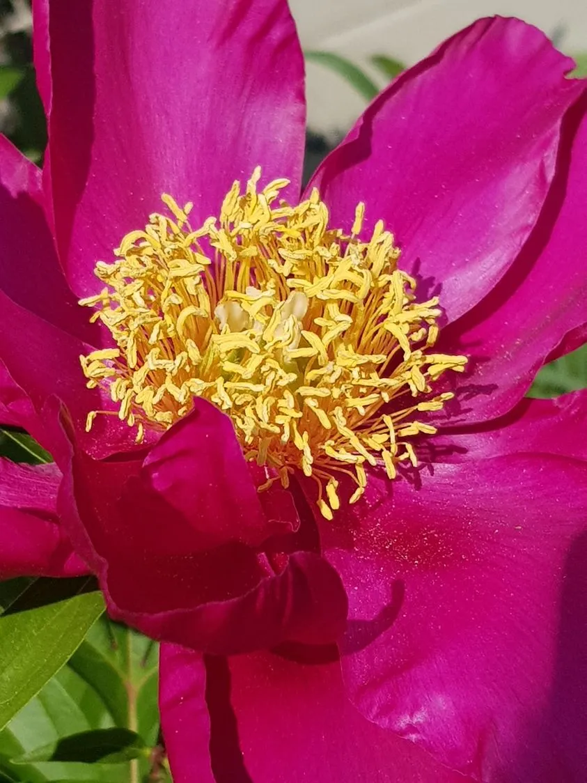 346960209_800473371492582_3316170360711576845_n.jpg?stp=dst-jpg_p843x403&_nc_cat=109&ccb=1-7&_nc_sid=730e14&_nc_ohc=cF5oFUw8g94AX_1I3zr&_nc_ht=scontent-gmp1-1.xx&oh=00_AfCabemFWEUzLmVfnCo9Phb1Km22P21ODj4Dkm2PTrFvAg&oe=6466998B