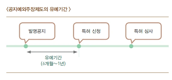 공지예외주장의 유예기간.PNG