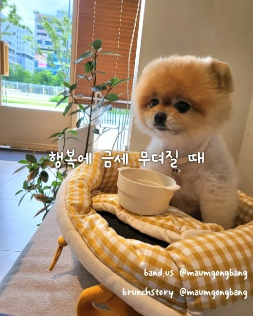 7_j15Ud018svc1d7a2ww6d3sip_xp6qtj.jpg?type=w520