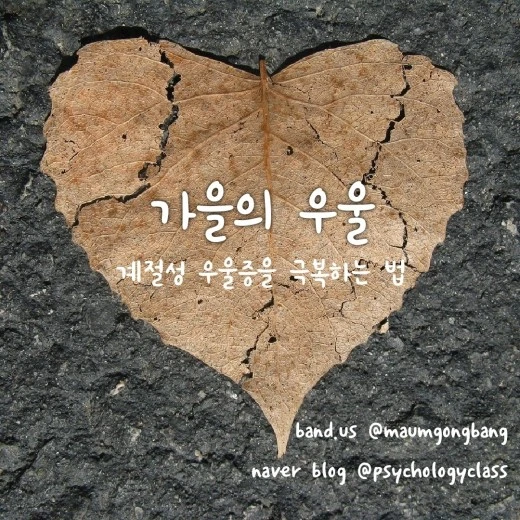 7_i6gUd018svc6g6vwq18af7v_xp6qtj.jpg?type=w520