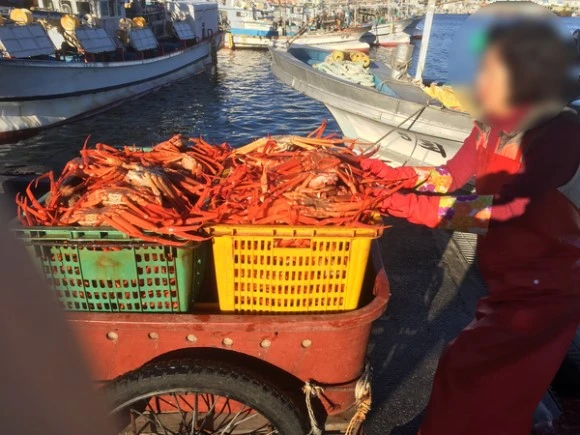 image_9639174571541221467298.jpg?type=w580