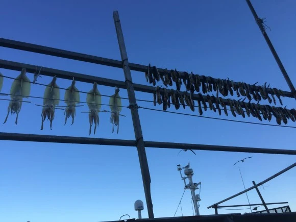 IMG_1833.jpg?type=w580