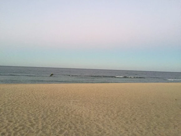 IMG_1837.jpg?type=w580