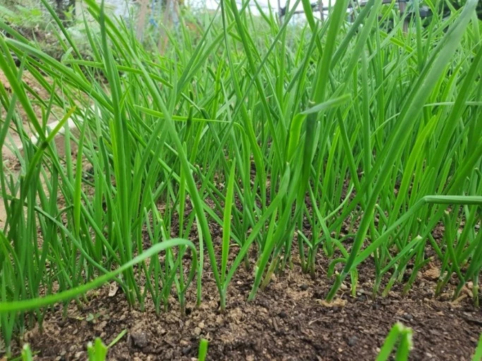 다운로드 (1).jfif