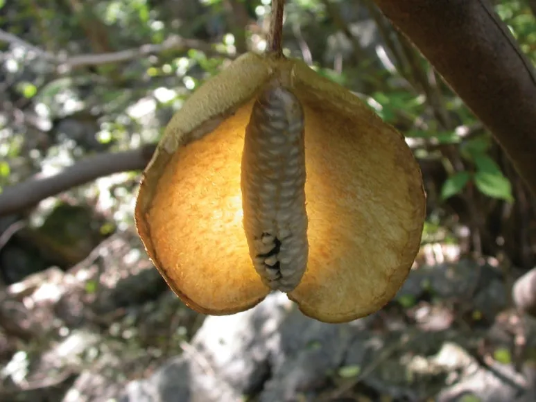 NML_225_4.jpg?type=w773