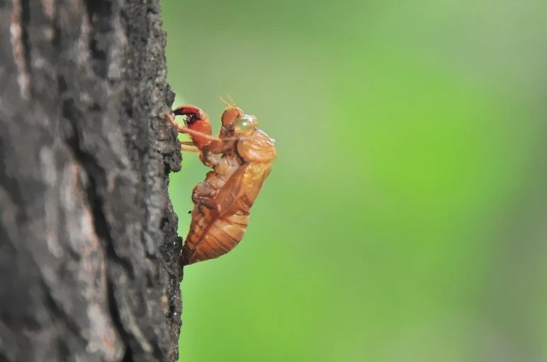 ?src=http%3A%2F%2Fblogfiles.naver.net%2FMjAyNDA3MThfMTY3%2FMDAxNzIxMjMwNTA0OTU2.7iW9-s16Qzo4AfaOGgOz03UpcuCXYeIdYYm7yBsLVGUg.2JMEd8BYzcfCIO5Dpkw9SWY9T4gJflZZBKuuf6BXG3sg.JPEG%2F20DSC_27091-DSC_971011.jpg&type=sc960_832