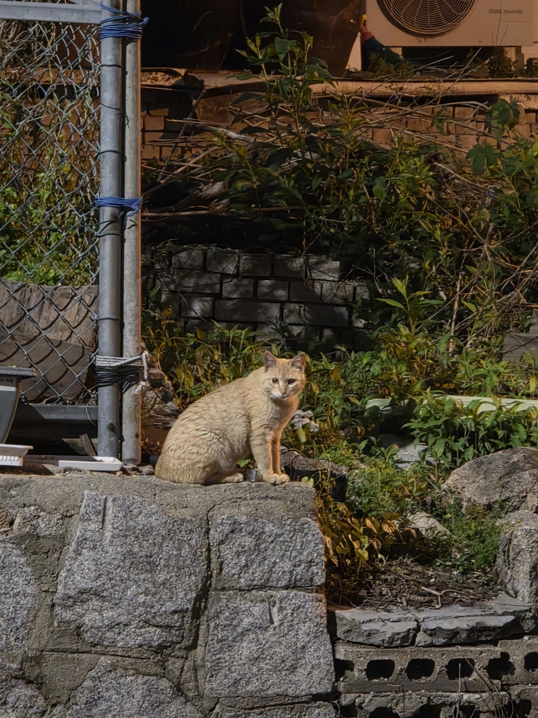 KakaoTalk_Photo_2025-05-22-23-06-12 001.jpeg