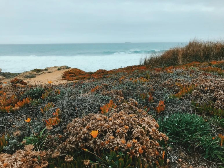 4AEAF4CE-D567-4623-AF91-53C79FC4840C.JPG?type=w773