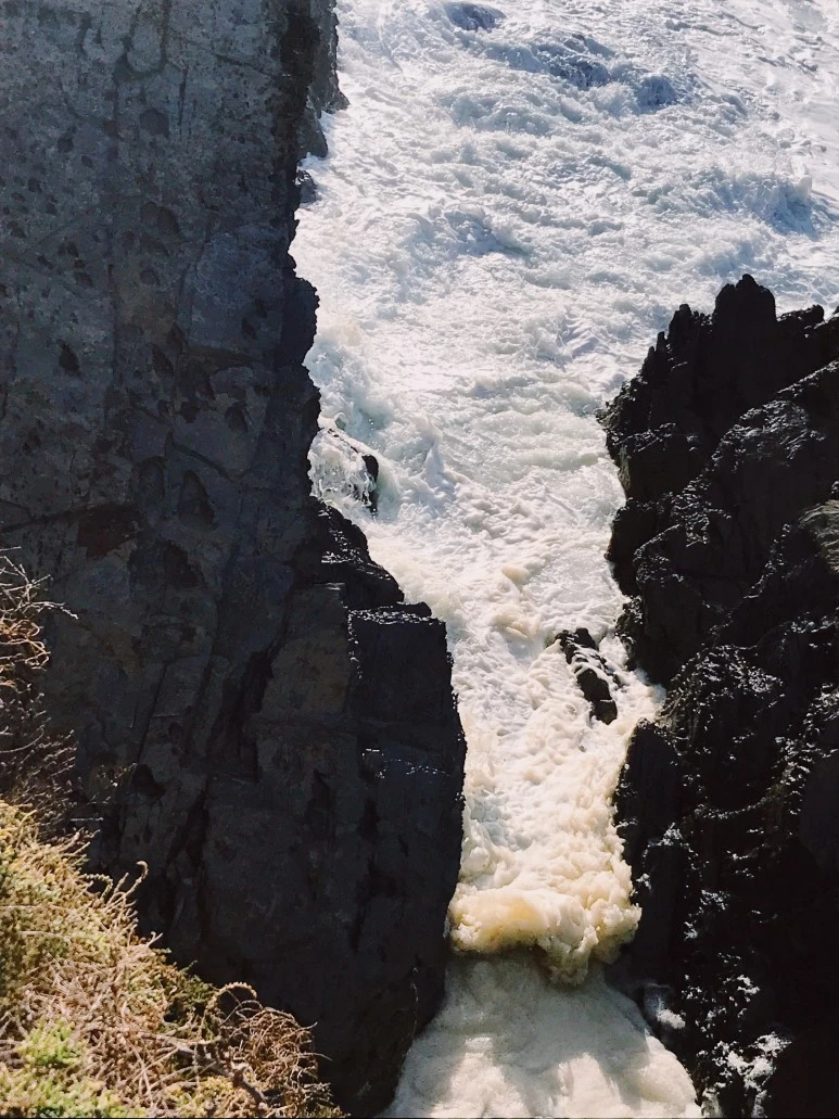 9093206B-2AD0-44BD-B43B-5AB692FAC4D5.JPG?type=w773