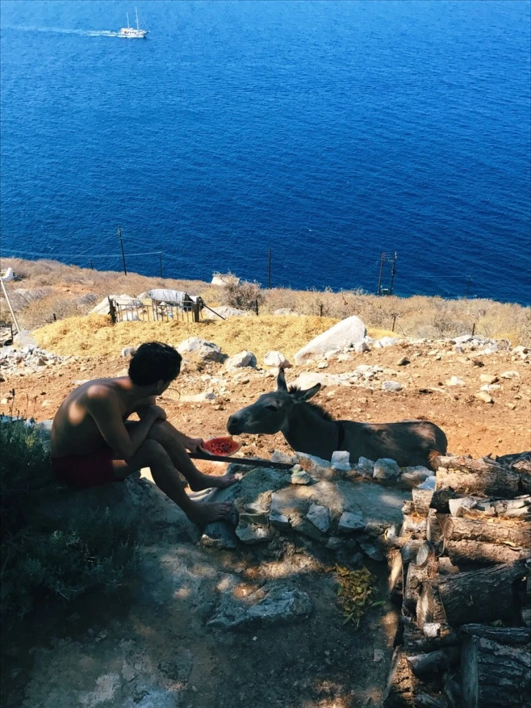 F53E038C-2921-47DE-B6D5-E1187598D3C6.jpg?type=w773