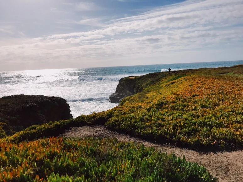 2A30E547-2D93-4374-8EF7-753C5802E0B2.JPG?type=w773