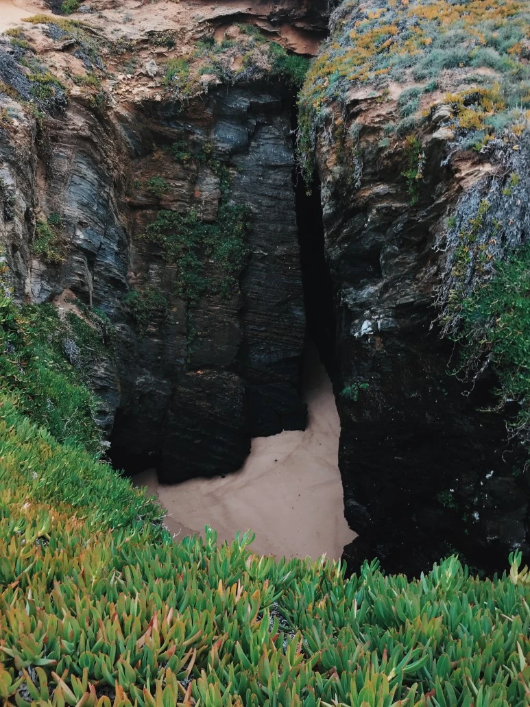 7FE6DF91-0CCF-4331-AC74-ED5F593071C5.JPG?type=w773