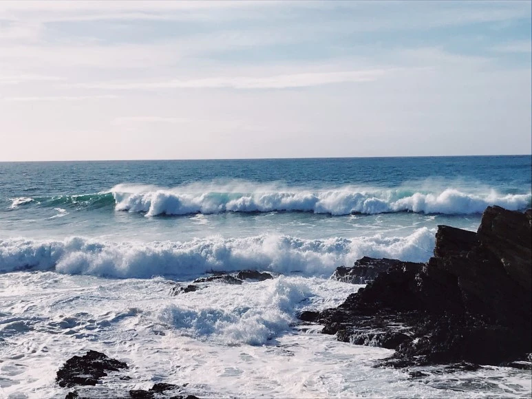 7F07E5B0-F1E2-43FE-BC70-69A2BA52CF87.JPG?type=w773