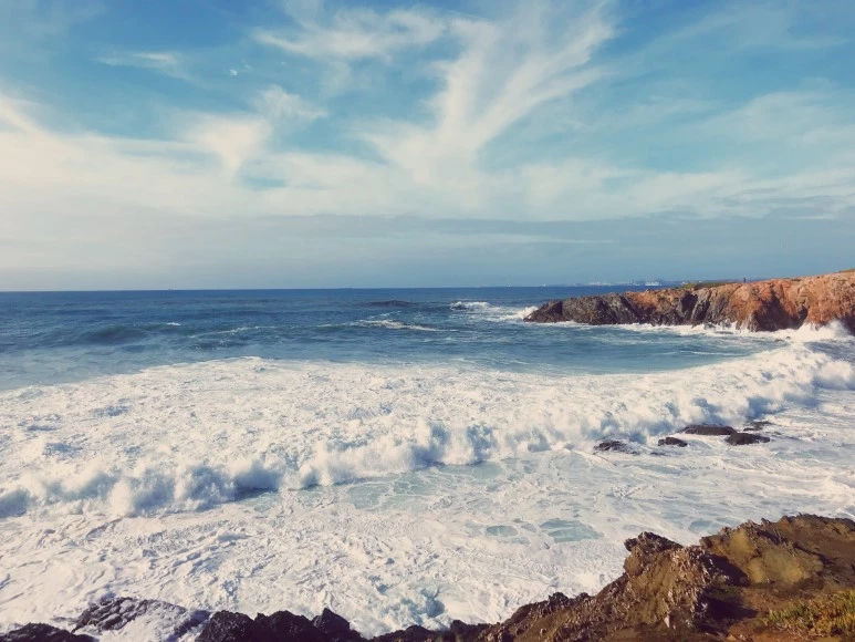 6956CB1E-ED5B-4EE1-954B-8437F74B5D77.JPG?type=w773