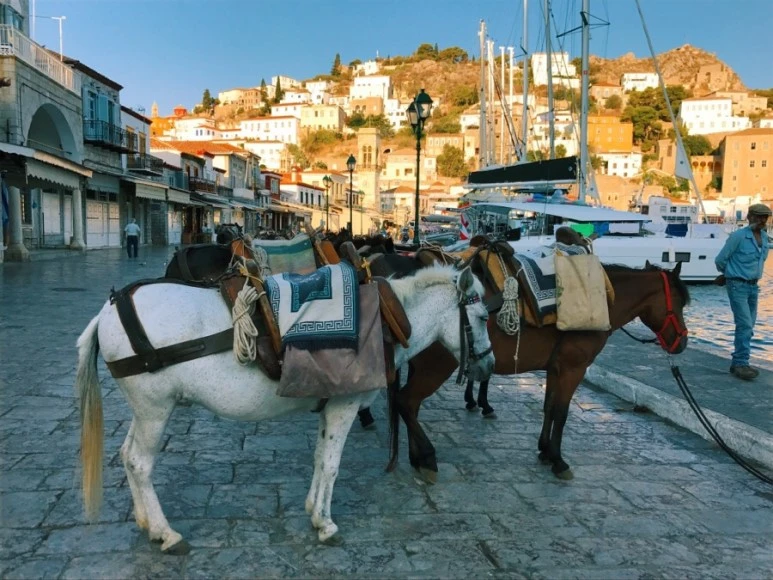 0E4B1DEB-561F-482F-84EE-A00B17936182.jpg?type=w773