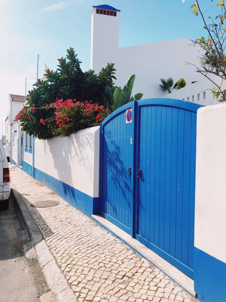 553B2717-F654-4674-85F4-2BE767A9232D.JPG?type=w773