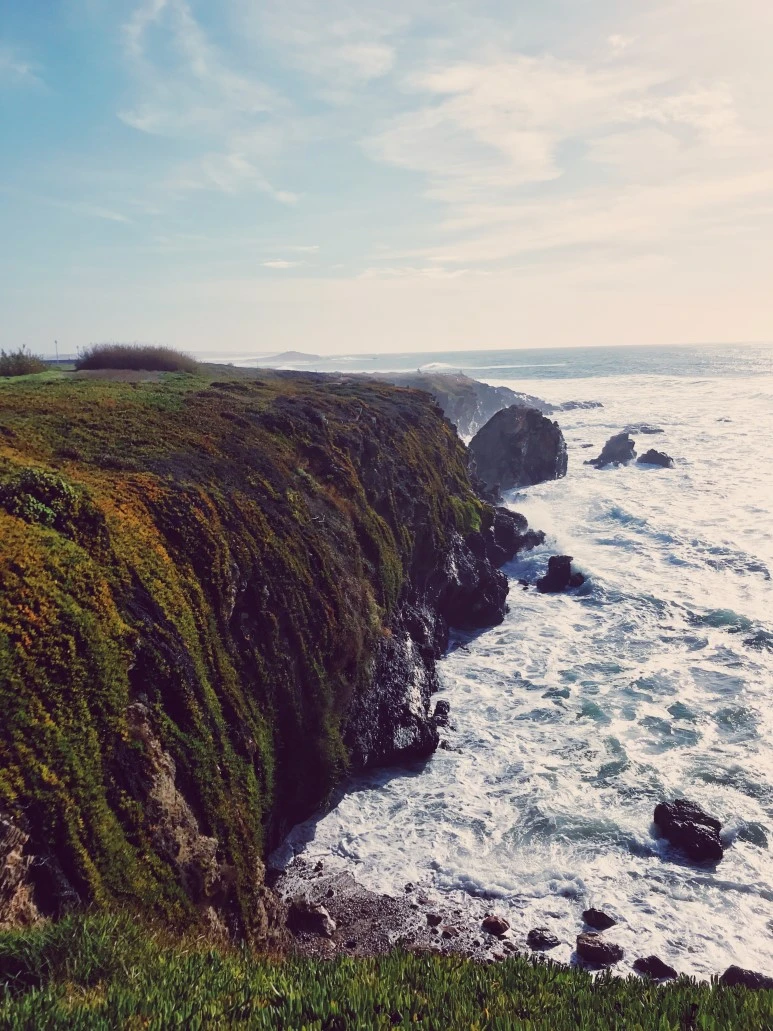 84B5661E-0496-4E3D-814E-999A1DC7D7A0.JPG?type=w773