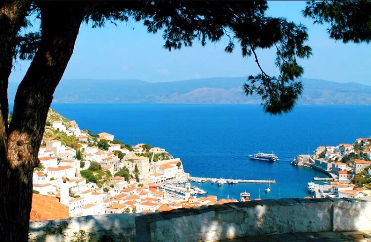 E1005EA6-80B9-4431-9D5E-00FCAE0E0788.jpg?type=w773