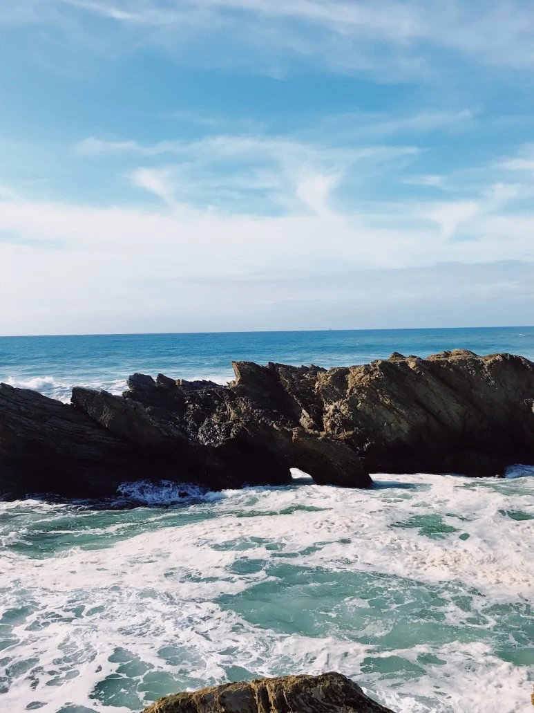 534C465F-136E-436B-8010-9E3ED749C5BC_2.JPG?type=w773